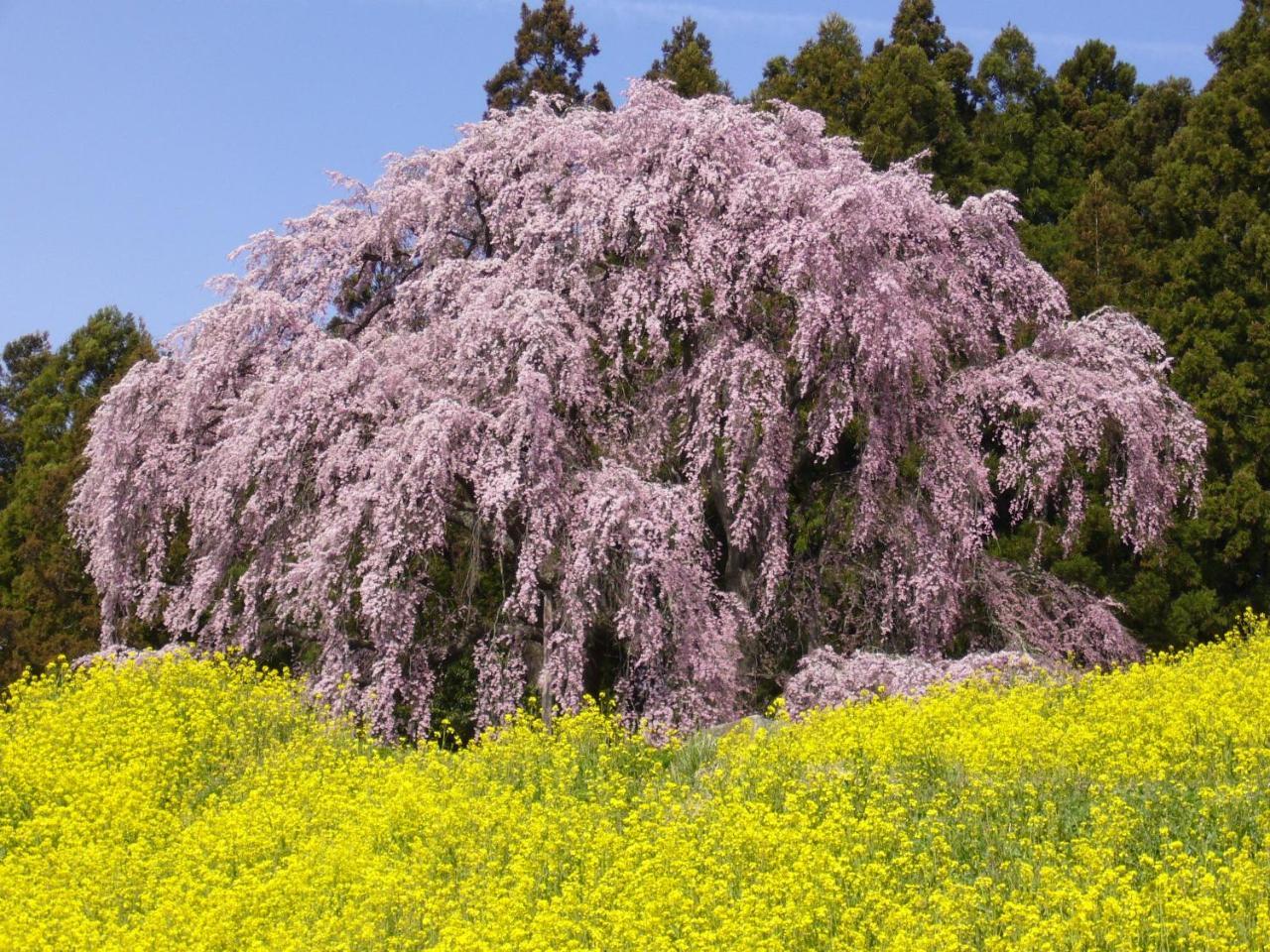Azumakan Nihonmatsu Exterior foto